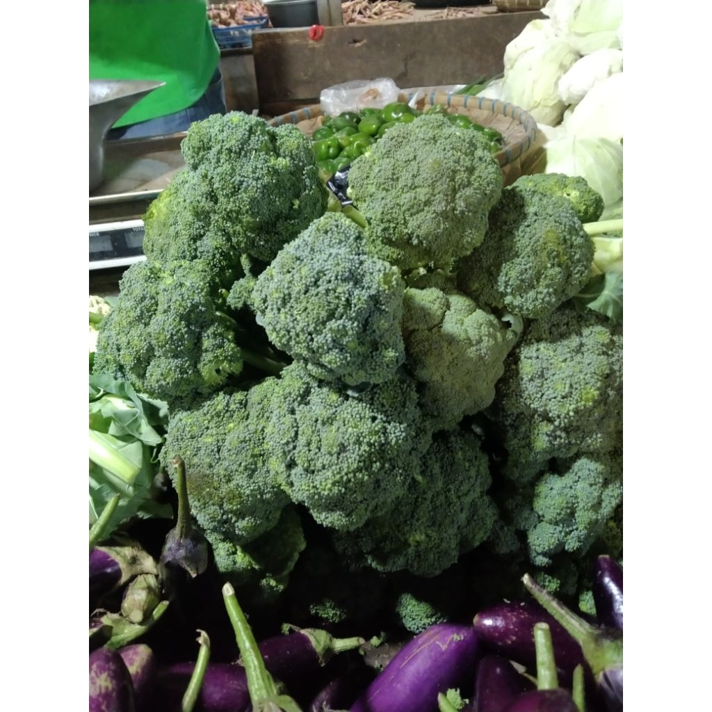 

BRUKOLI segar berkualitas 5000