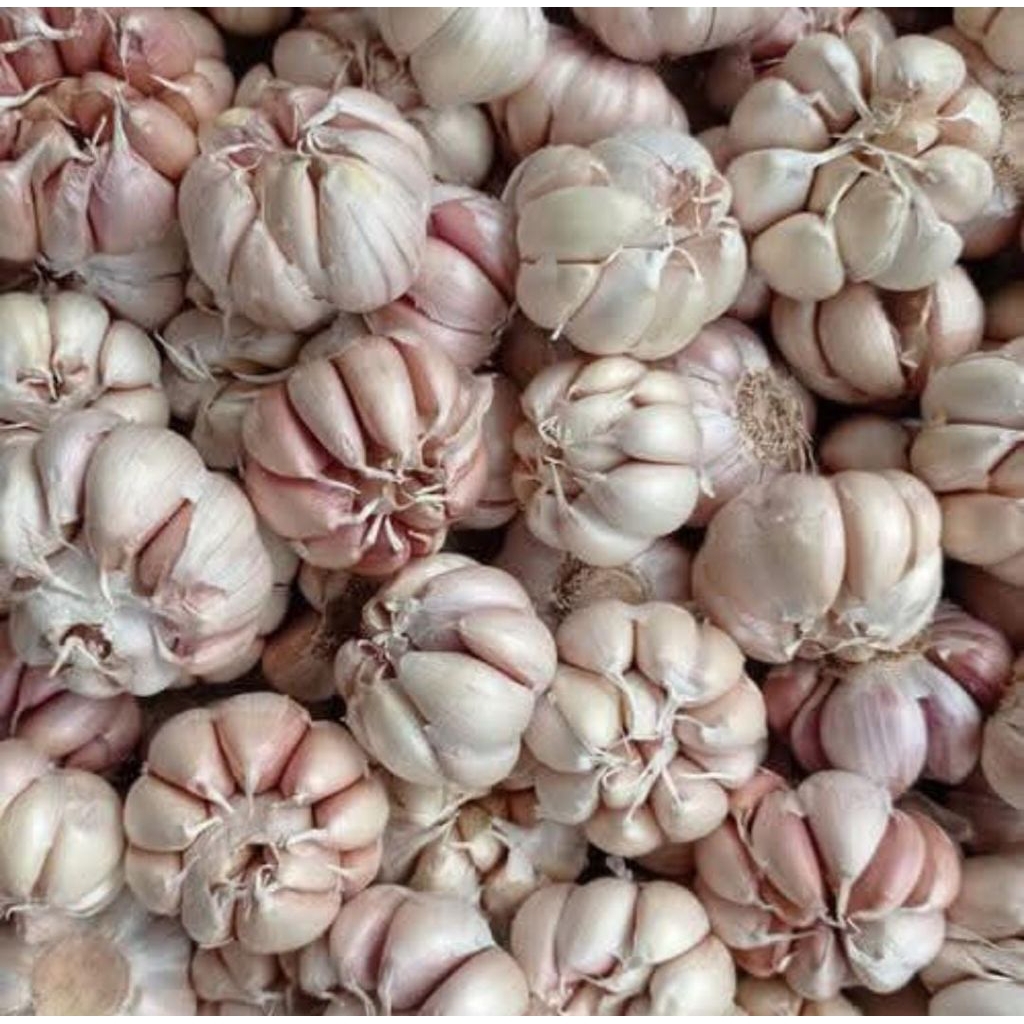 

Bawang Putih - Bumbu Dapur -Karungan 20kg