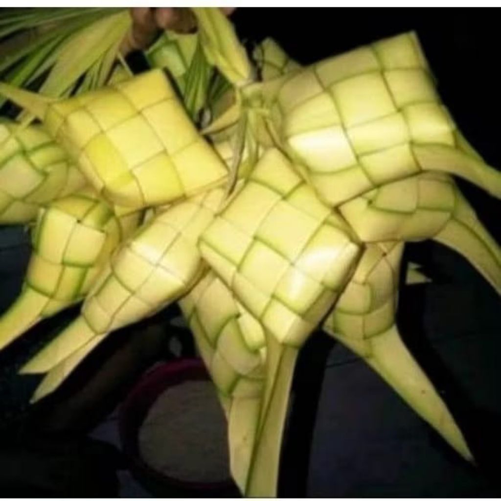 

New Promo DAUN KELAPA MUDA DAUN JANUR KUNING MUDA/CANGKANG KETUPAT