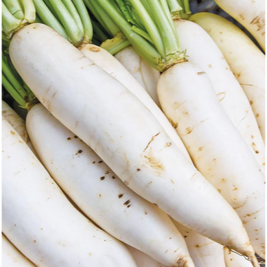 

Radish 1000gr | JBP_Fresh