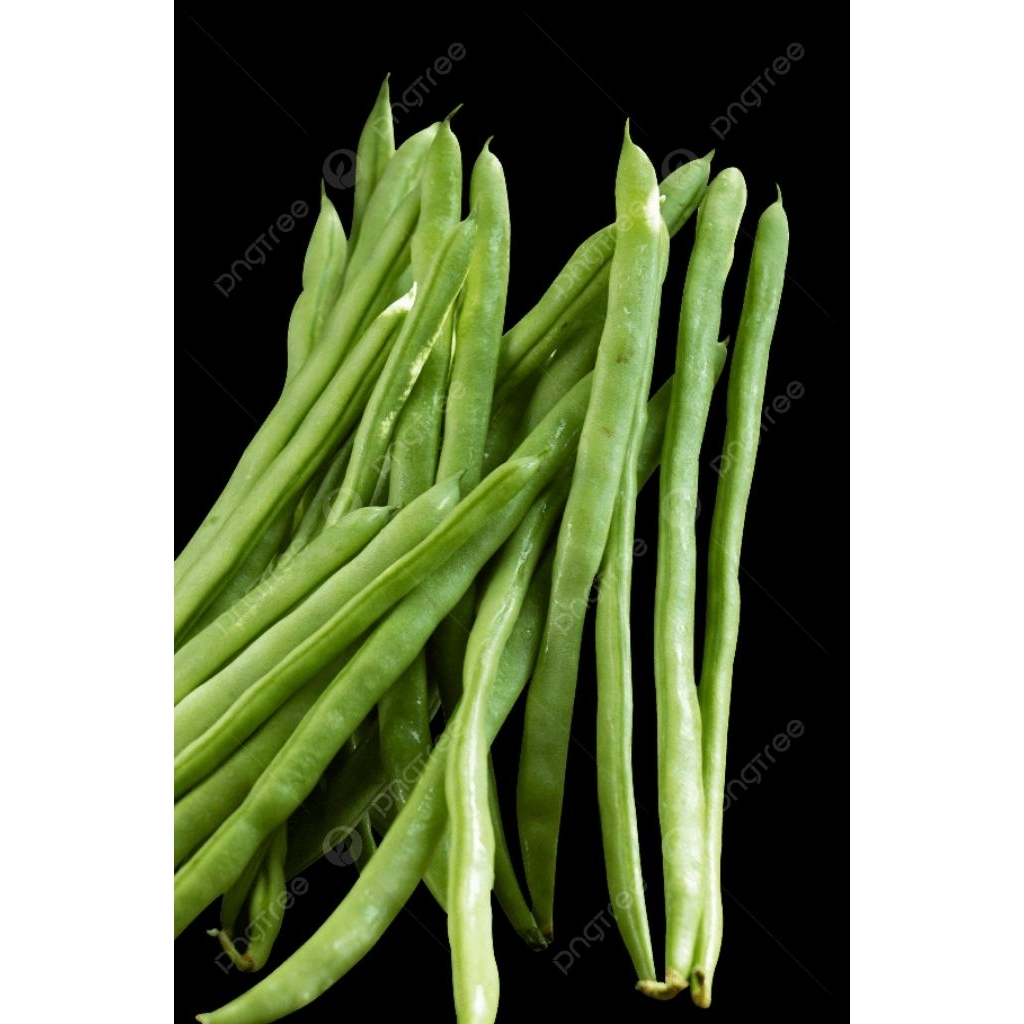 

BUNCIS FRESH 100 - 1000gr