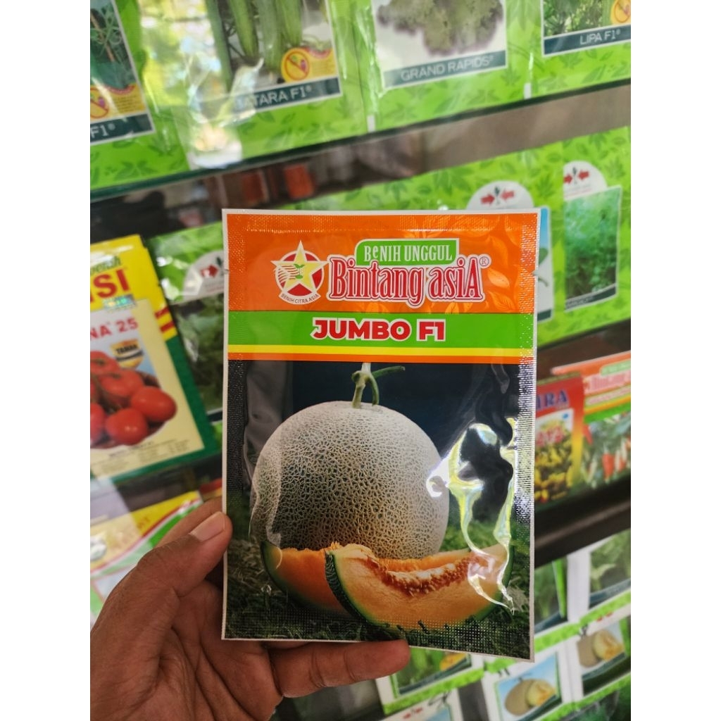 BENIH BIBIT MELON JUMBO F1 BINTANG ASIA (Kemasan Original)