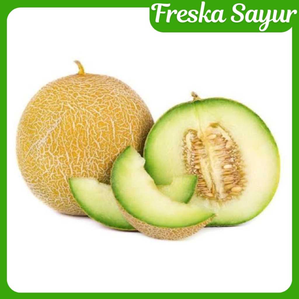 

Melon Hijau 1 Pcs Ukuran 1,4 kg - 1,6 kg I Manis