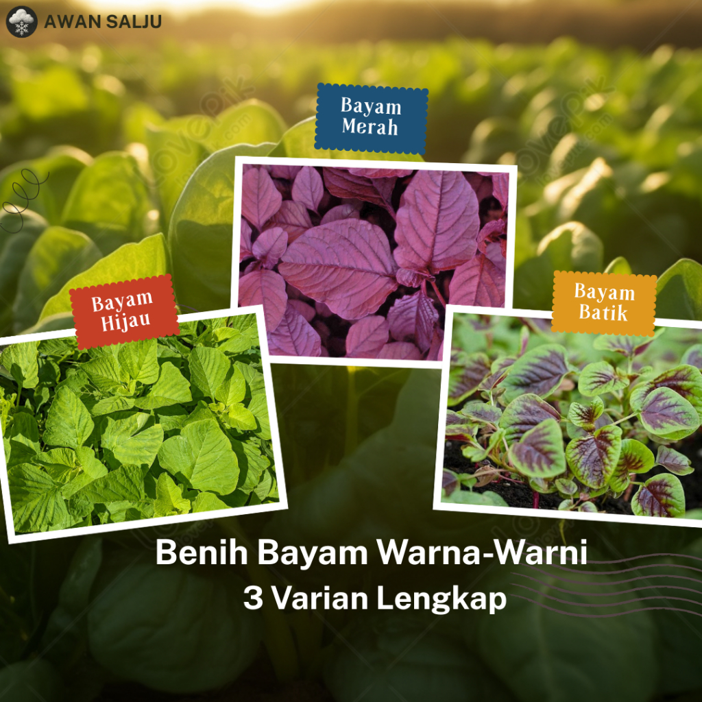 Bibit Sayuran Benih Sayur Paket Lengkap Tanaman Hidroponik Sayuran Daun Bayam Hijau Bayam Merah Baya