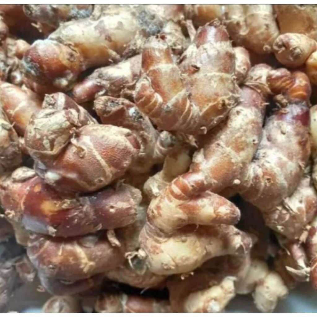 

Kencur segar & fresh /250 gr / 500 gr