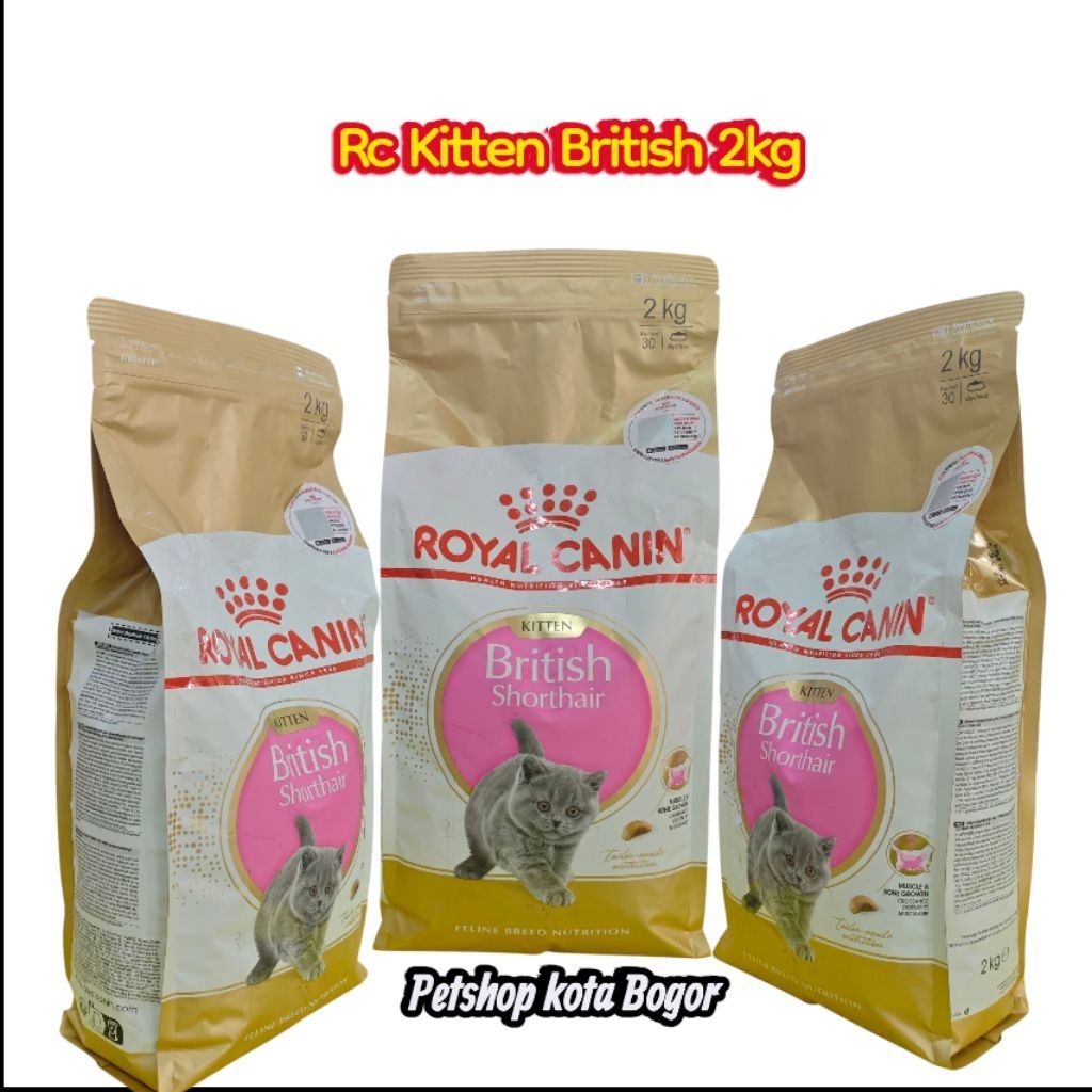 Royal canin british short hair kitten 2kg makanan anak kucing british
