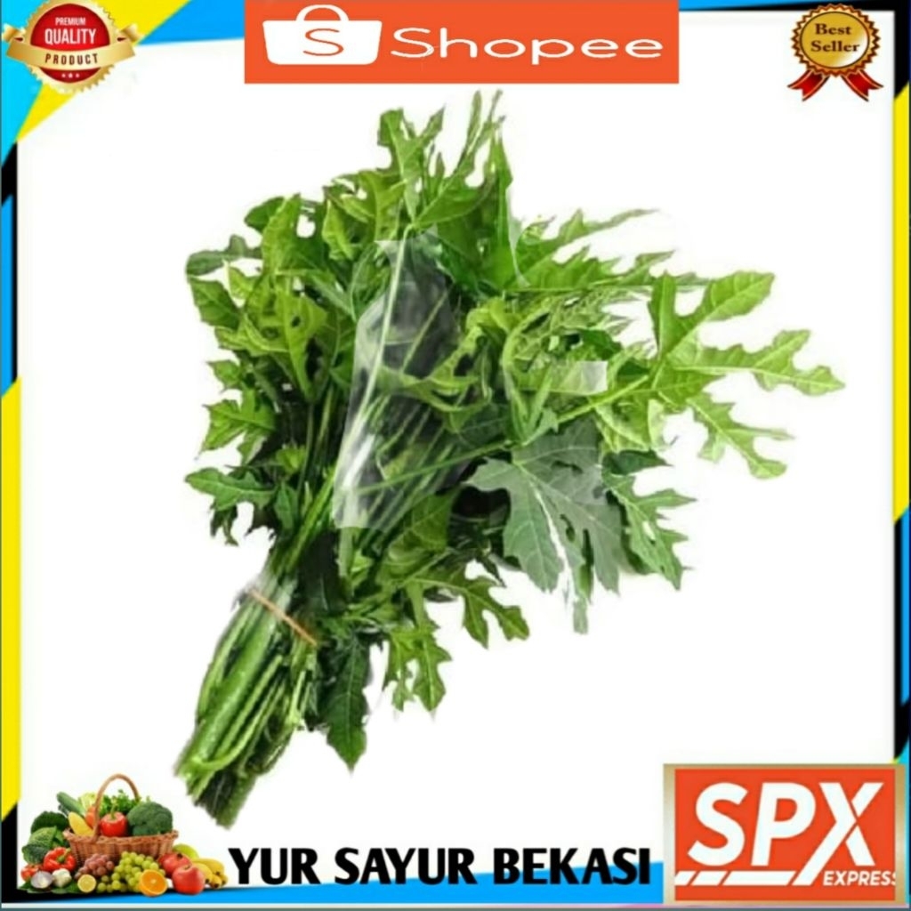 

Daun Pepaya/Daun Paya Jepang (2 Ikat).