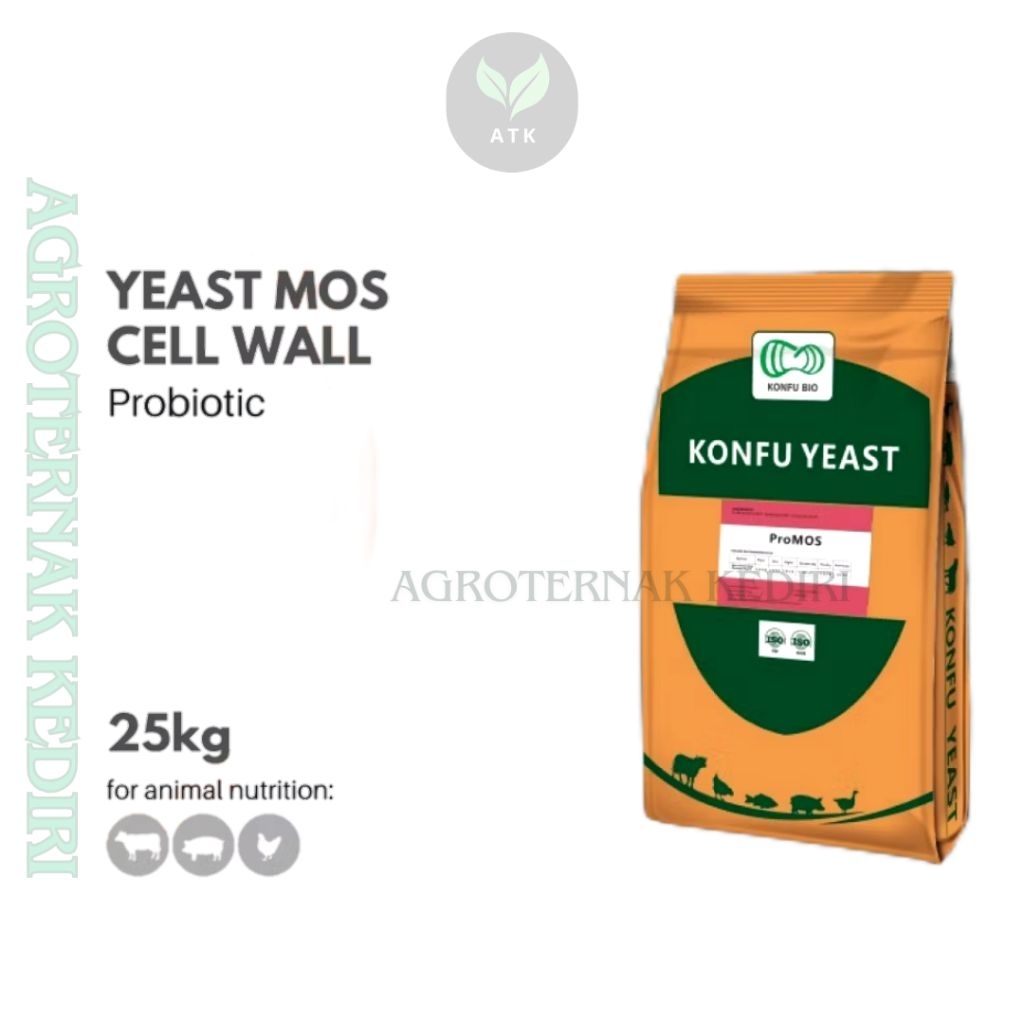 Yeast Powder Hydrolyzed Probiotik Ragi Saccharomyces Aditif pakan ternak repack