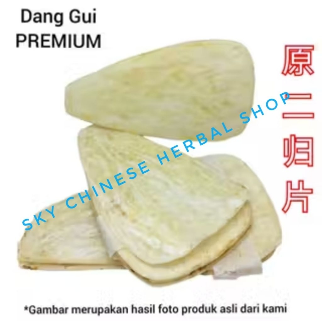 

Yuan Er Dang Gui Pian JUMBO LEBAR 600 gr/ Angelic Root Flats / Tang Kuei Dong Quai DangGui