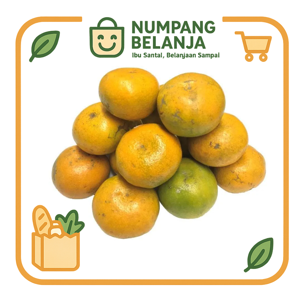 

jeruk medan buah fresh [500g]