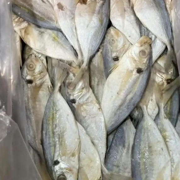 

IKAN ASIN PEDA SELAR 250gr