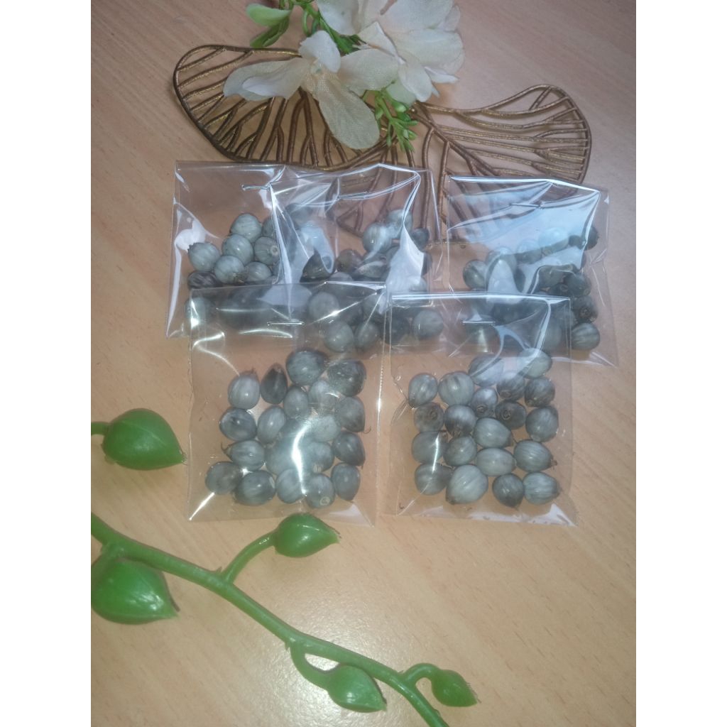 

Biji jali jali untuk kerajinan