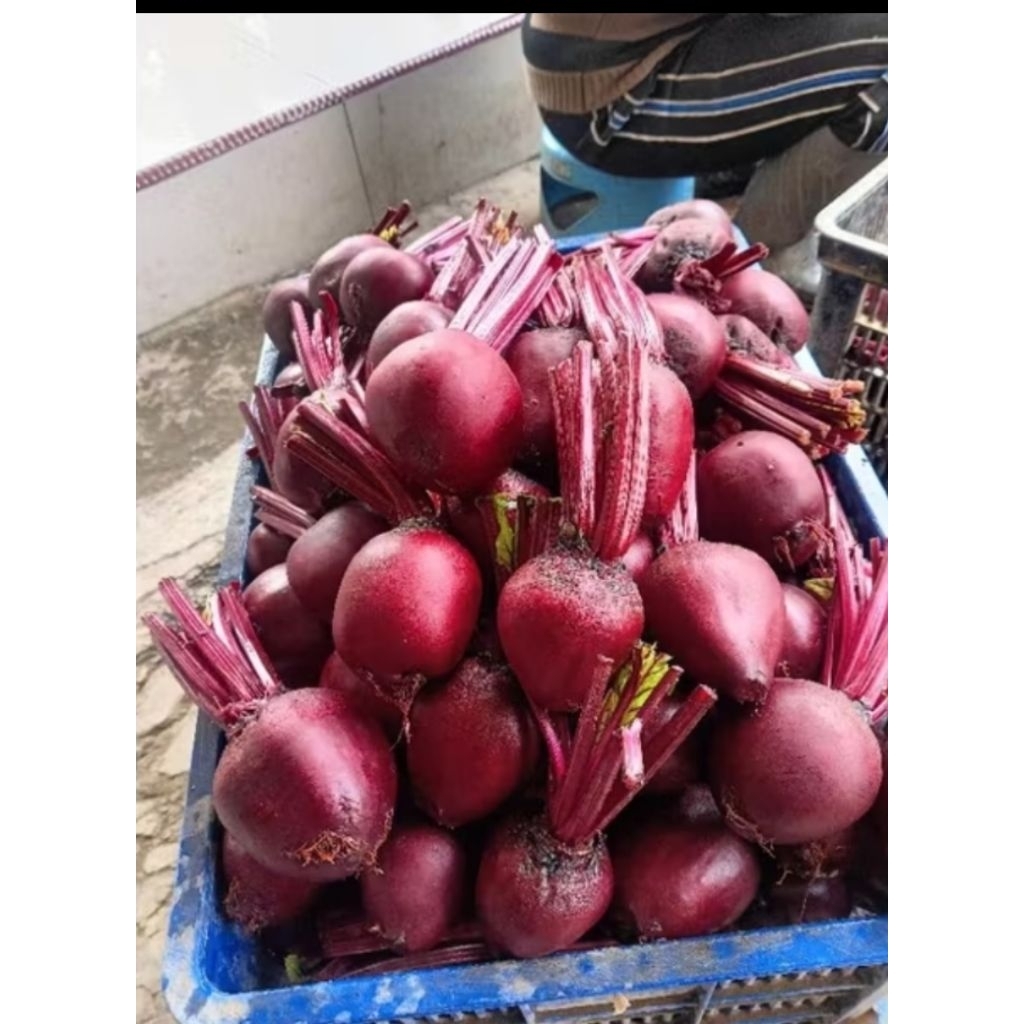 

buah bit 1kg