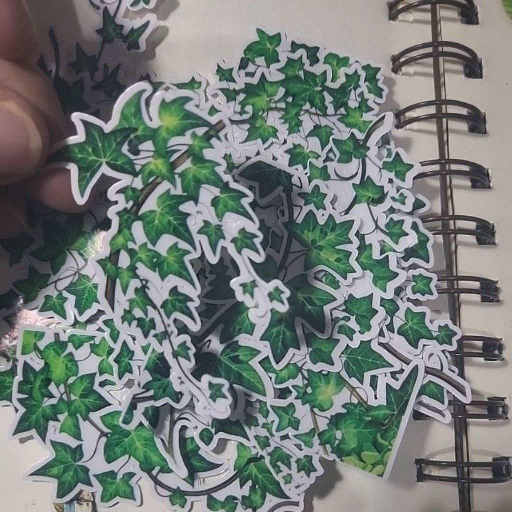 

ARTDOESWORK Ivy leaves stiker transparant