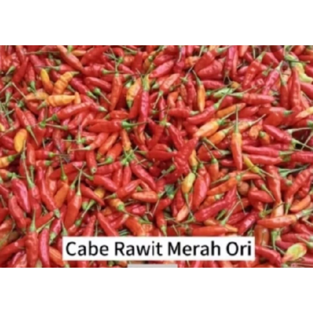 

cabe rawit merah