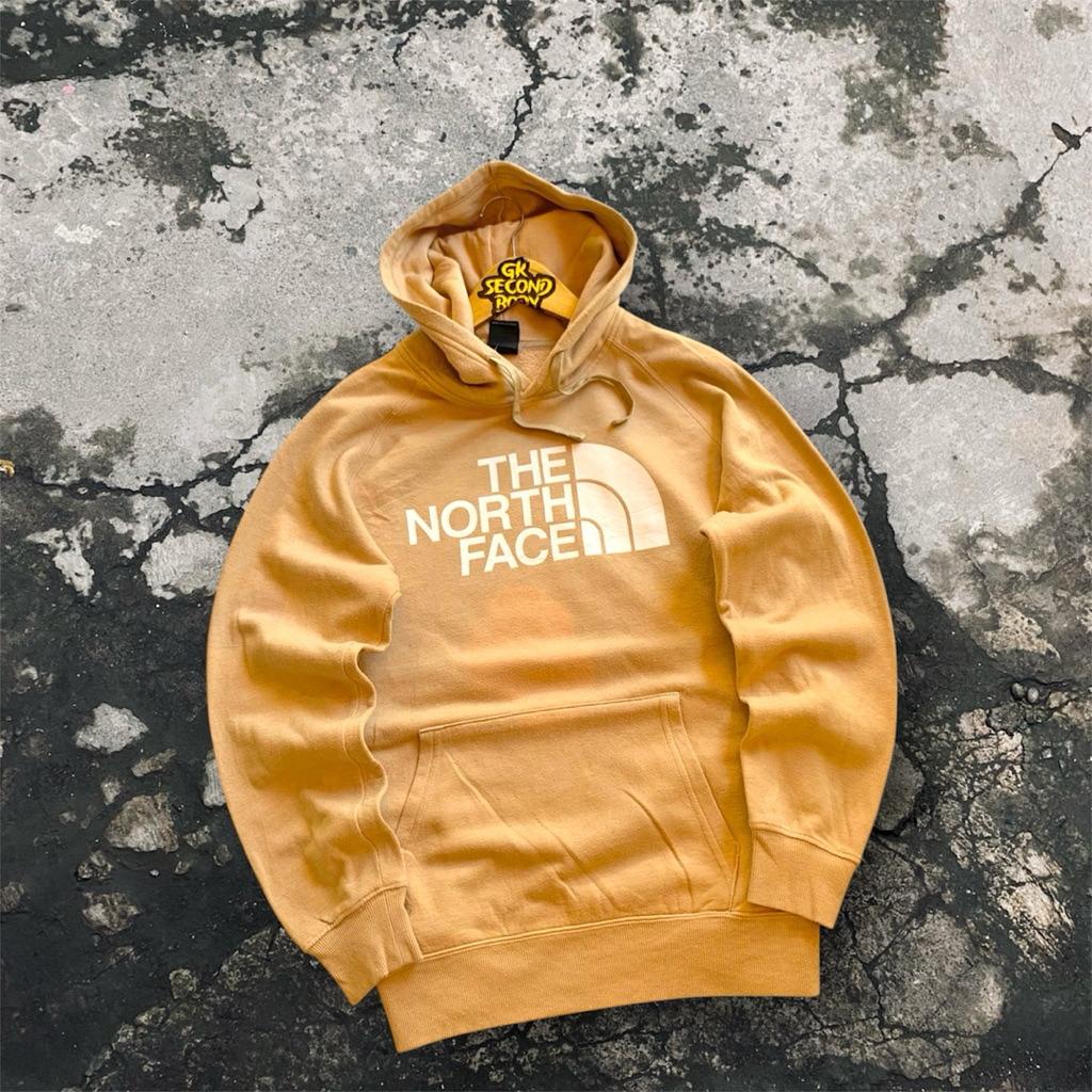 hoodie tnf the north face second