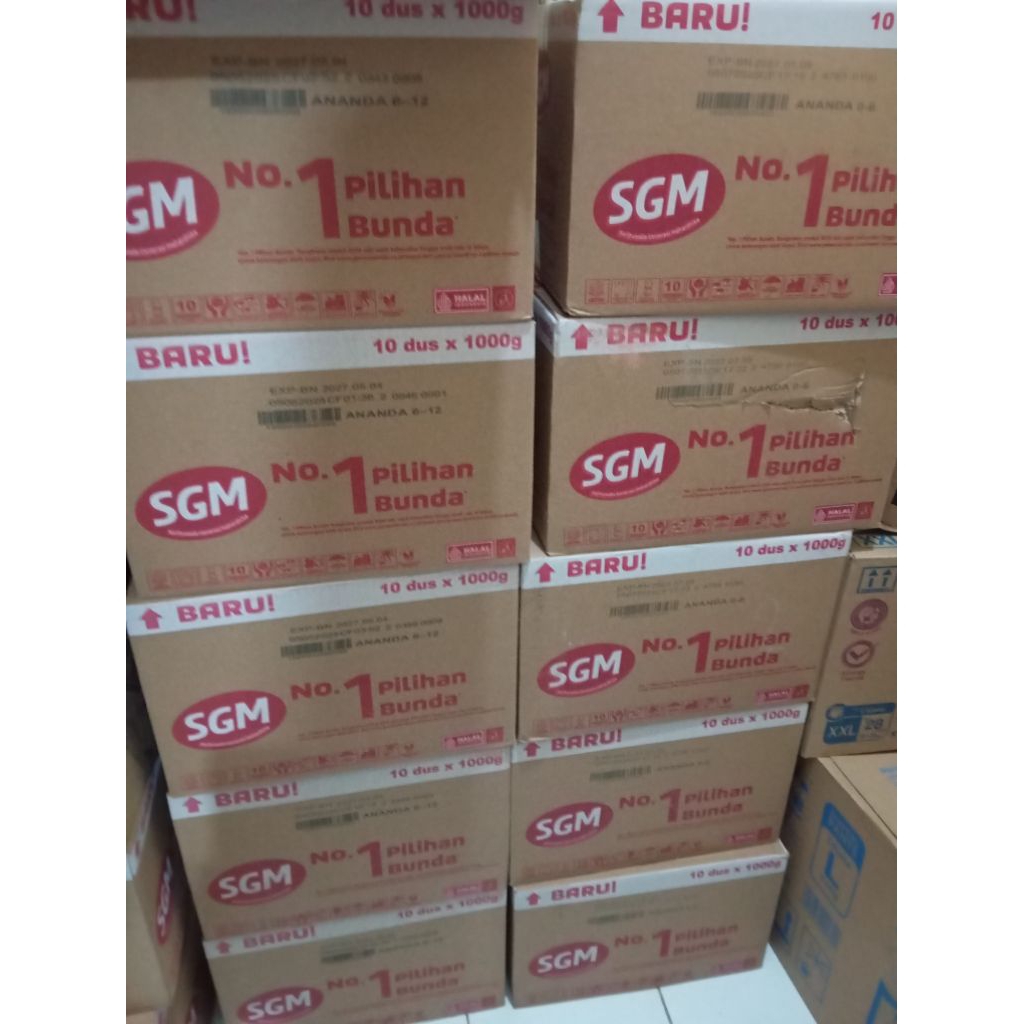 SGM 1 karton/10pcs