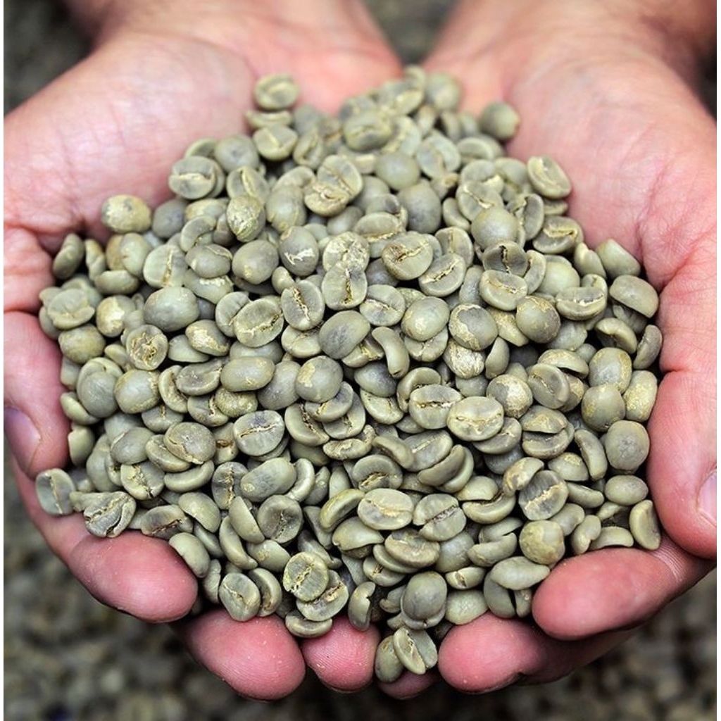 

biji kopi robusta green bean asli Indonesia berat 1 kg