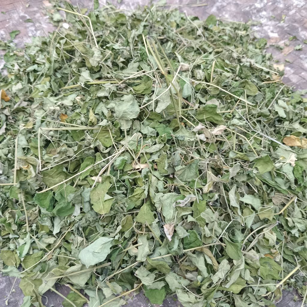

Jual daun kelor kering kuwalitas bagus 300 g