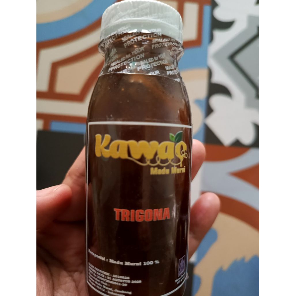 

Madu Hutan Kawao Trigona