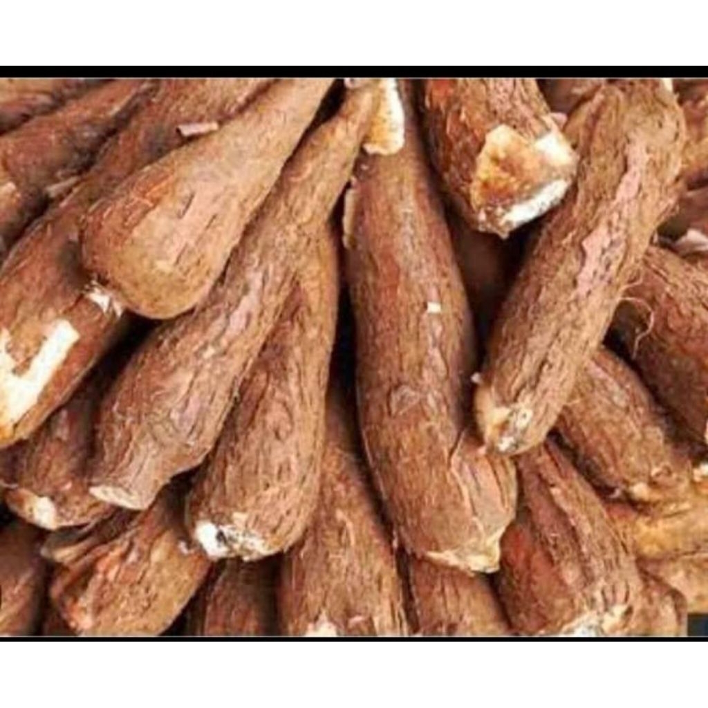 

singkong /ketela/ubi pohon 1kg