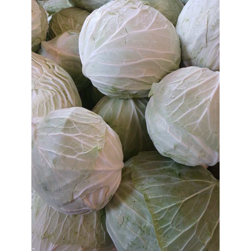 

kol super kemasan 1kg