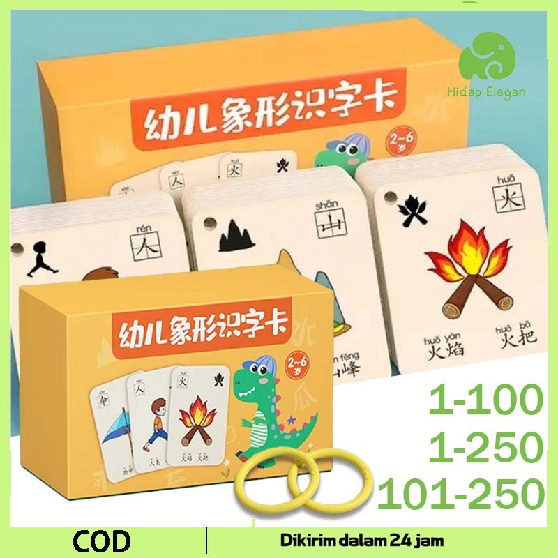 100 / 250Pcs Flashcard Mandarin Untuk Anak