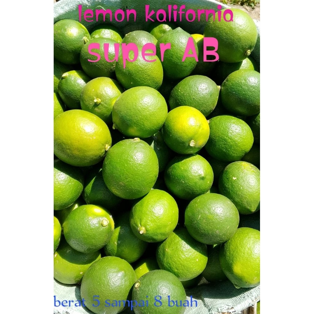 

lemon california 1kg