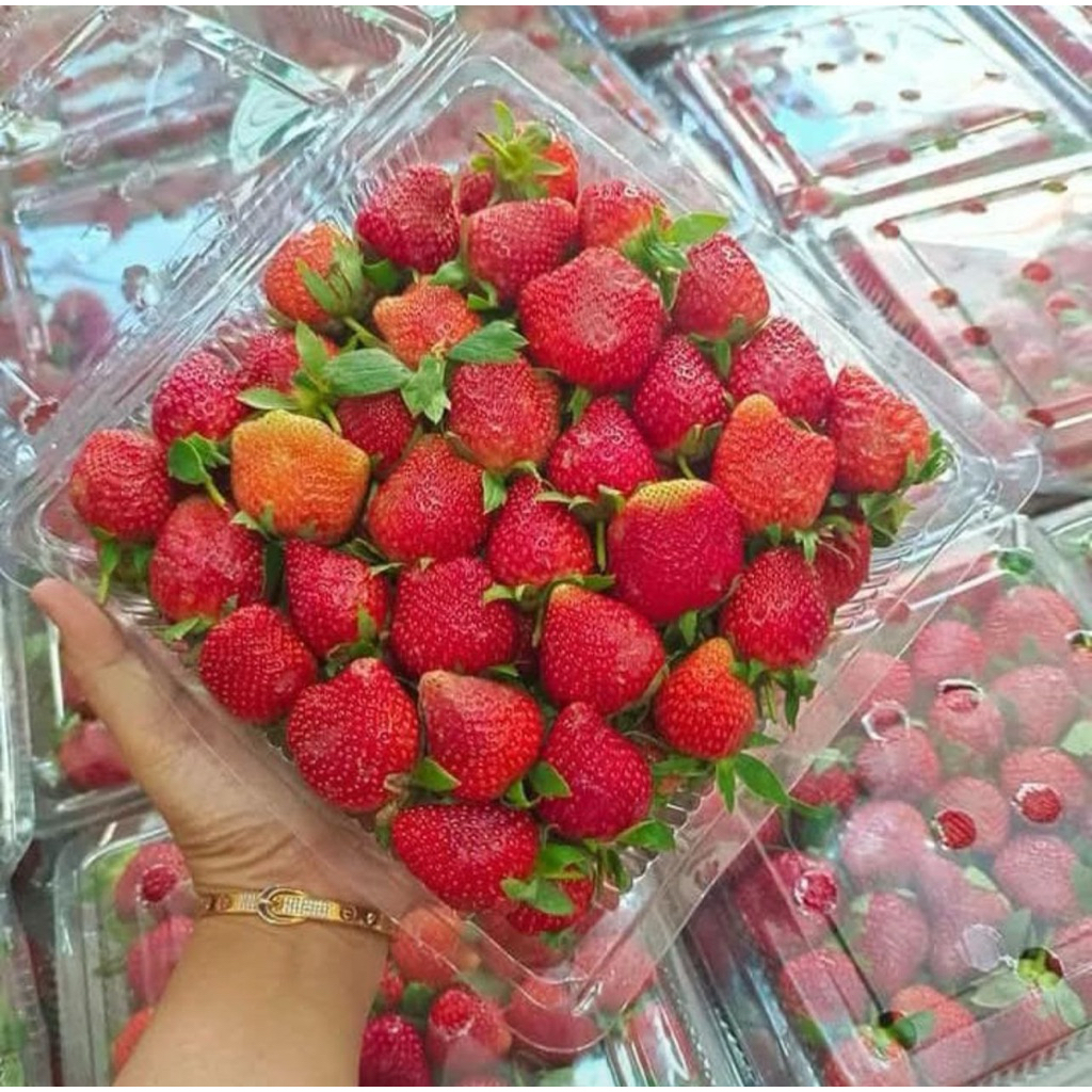 

strawberry jumbo per kg