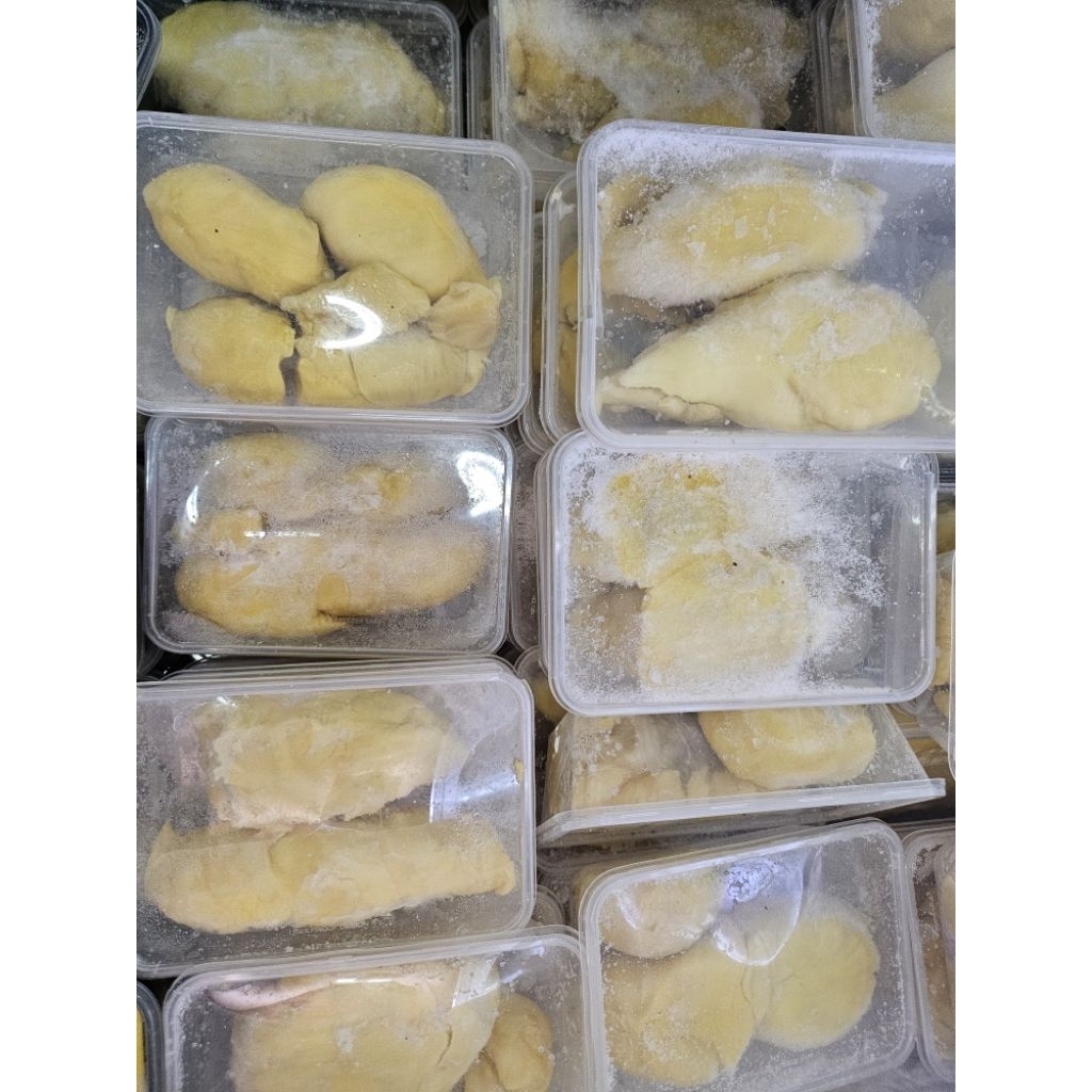 

DURIAN MONTONG PALU