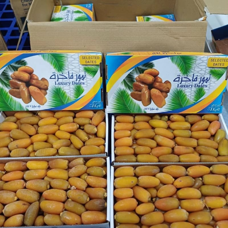 

Kurma Ruthob Merk Luxury Dates Ruthab Kurma Muda Libiya Isi -+ 1 Kg Asli Libya Grosir Murah Fresh