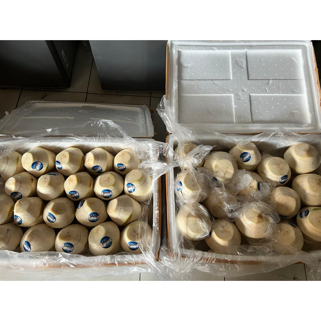 

Degan Jelly Merk Queen size sedang Ready Sabtu