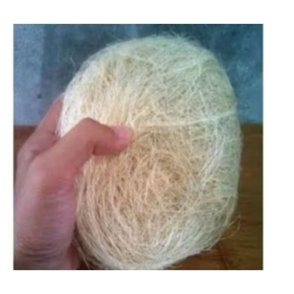 Serat Nanas Sarang Burung Kenari