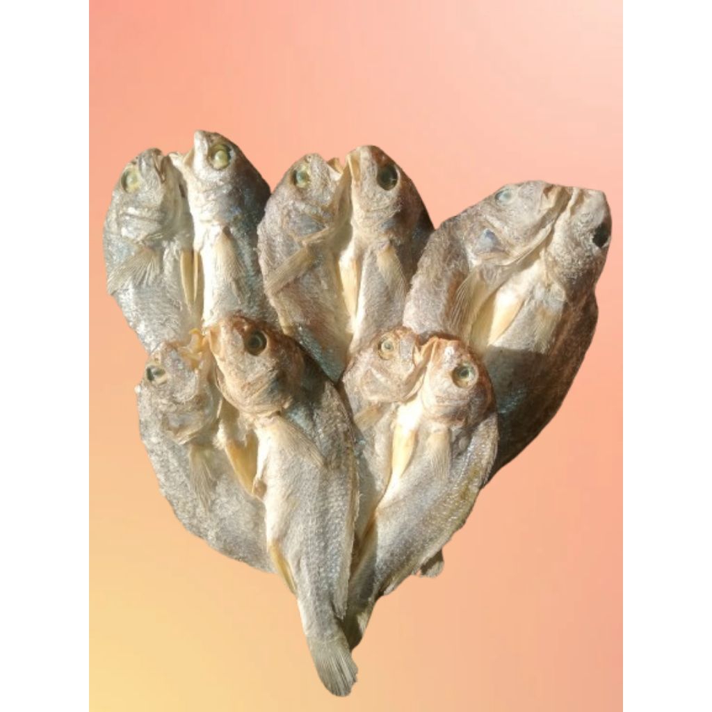 

[COD] IKAN ASIN SAMGE BELAHAN PILIHAN KERING / IKAN ASIN PALA BATU BELAHAN KERING [ 1 KG ] [ 500 GR ] [ 250GR ] QUALITY SUPER BERSIH DAN HIGIENIS