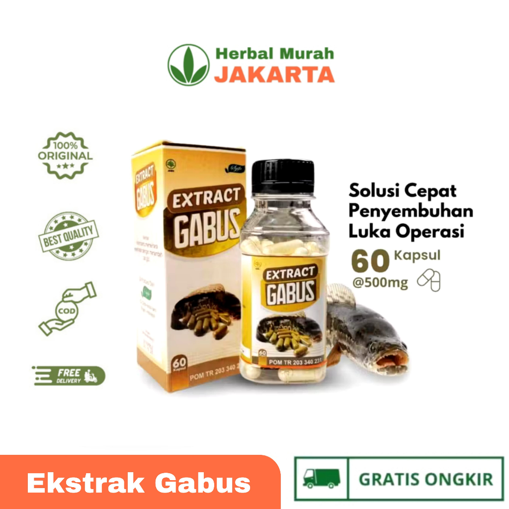 Kapsul Ikan Gabus - Ekstrak Ikan Gabus Pasca Operasi Syifa 60 Kapsul Original
