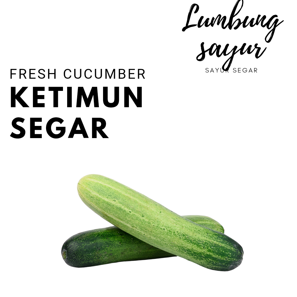 

Sayur Lumbung - Timun / Mentimun / Ketimun / Sayuran Segar / Timun Segar