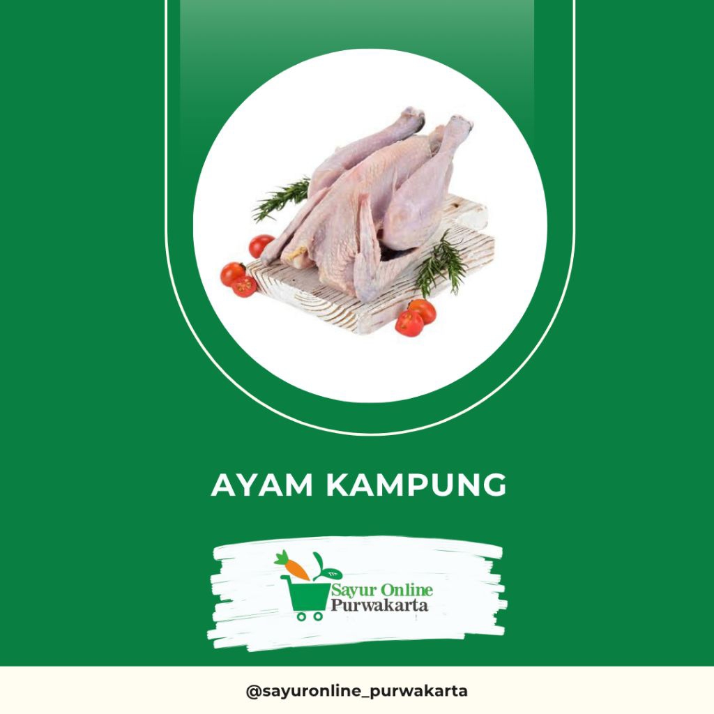 

Ayam Kampung - Sayur Online Purwakarta