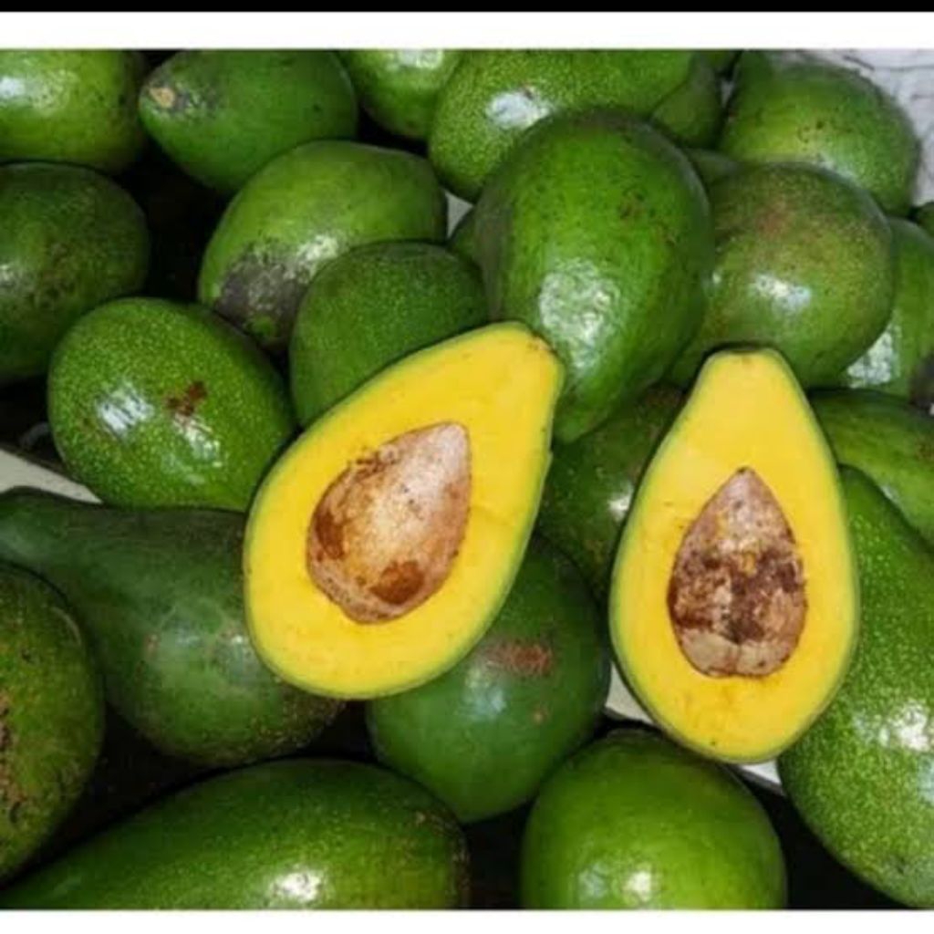 

alpukat mentega isi 5-6