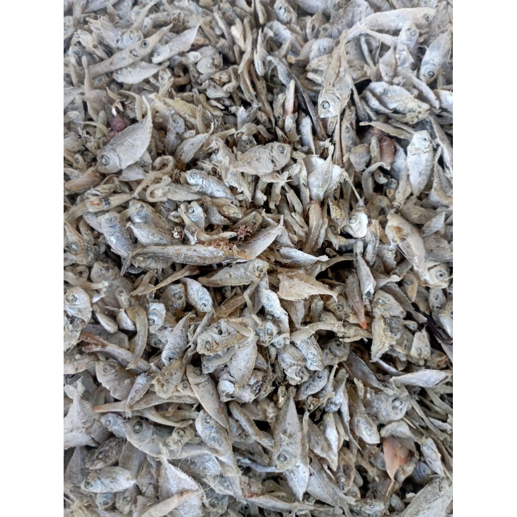 

ikan buat peyek krispi