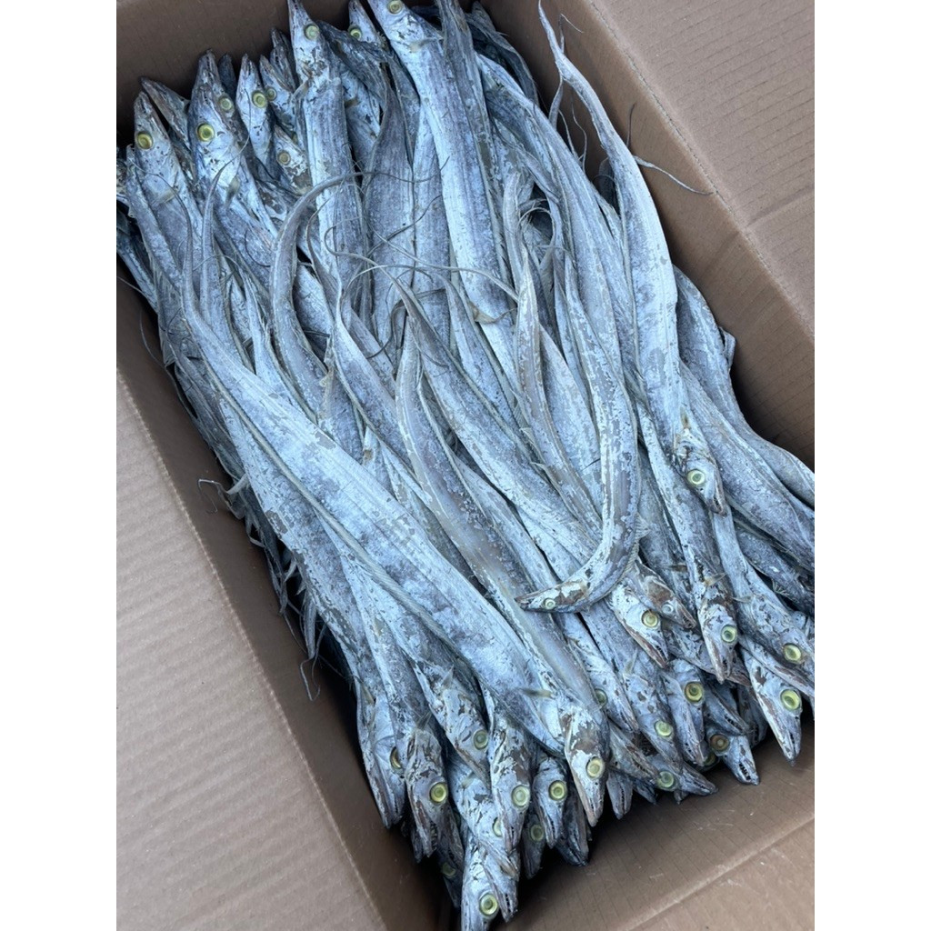 

ikan kering lajur - ikan kering layar enak gurih nikmat TERLARIS