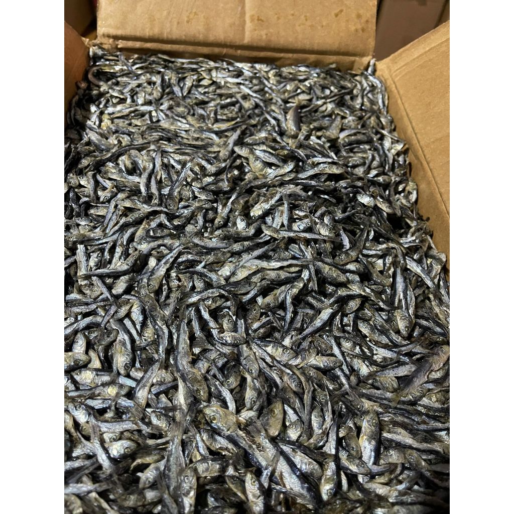 

Ikan asin caek seper besar kecil - ikan caek kering grade super