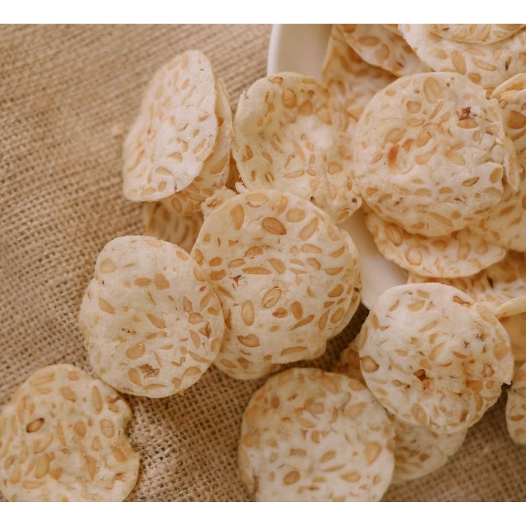 

KRIPIK TEMPE SAGU
