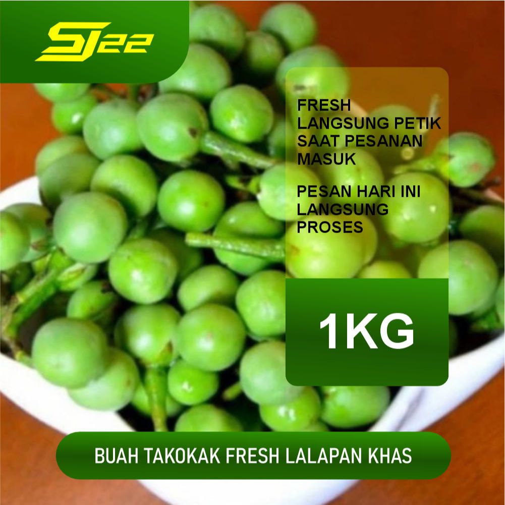 

Buah Tekokak Cepokak segar dan prees 1KG bahan lalapan