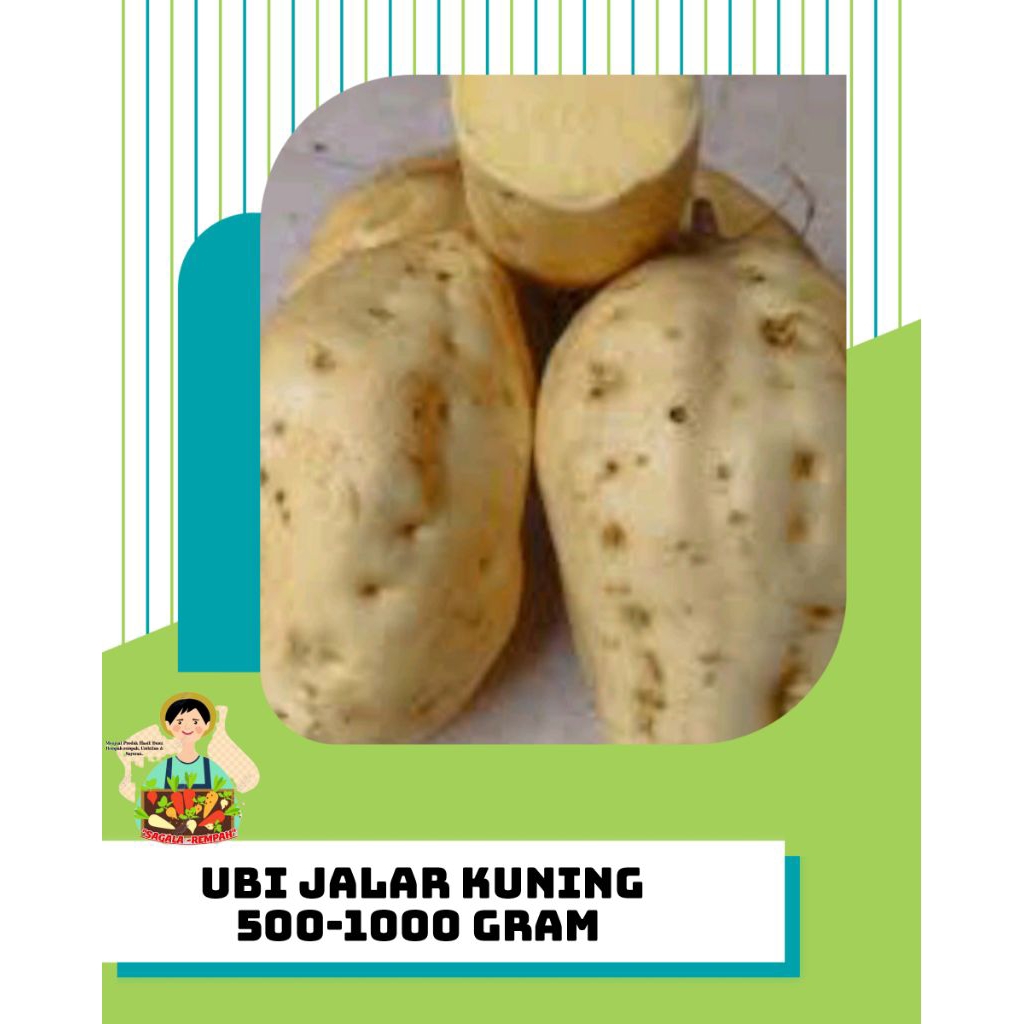 

UBI JALAR KUNING 1KG (Bumi Hasil Priangan Timur)