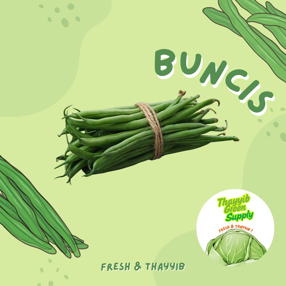 

BUNCIS SAYUR SEGAR 500 GRAM / BUNCIS SAYUR FRESH 500 GR - THAYYIB GREEN SUPPLY