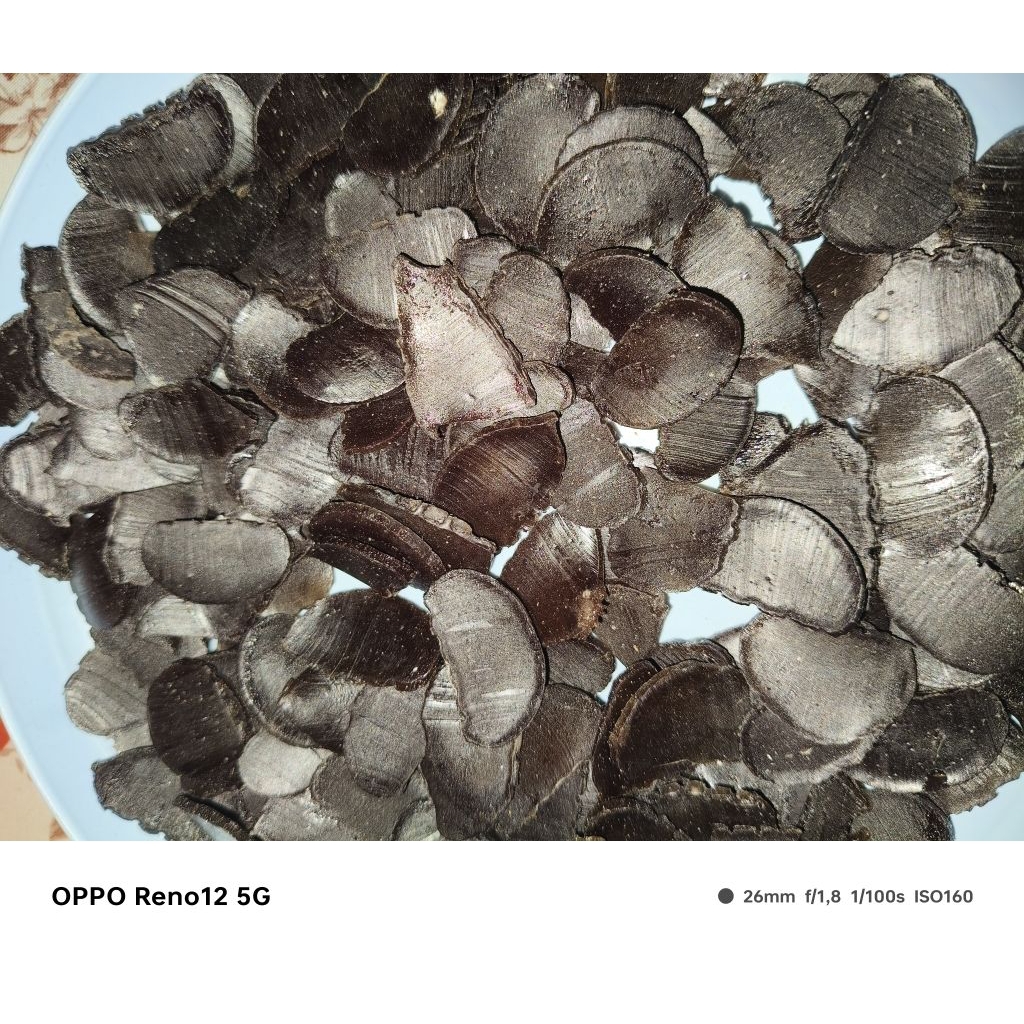 

Kerupuk jengkoL mentah 250 gram