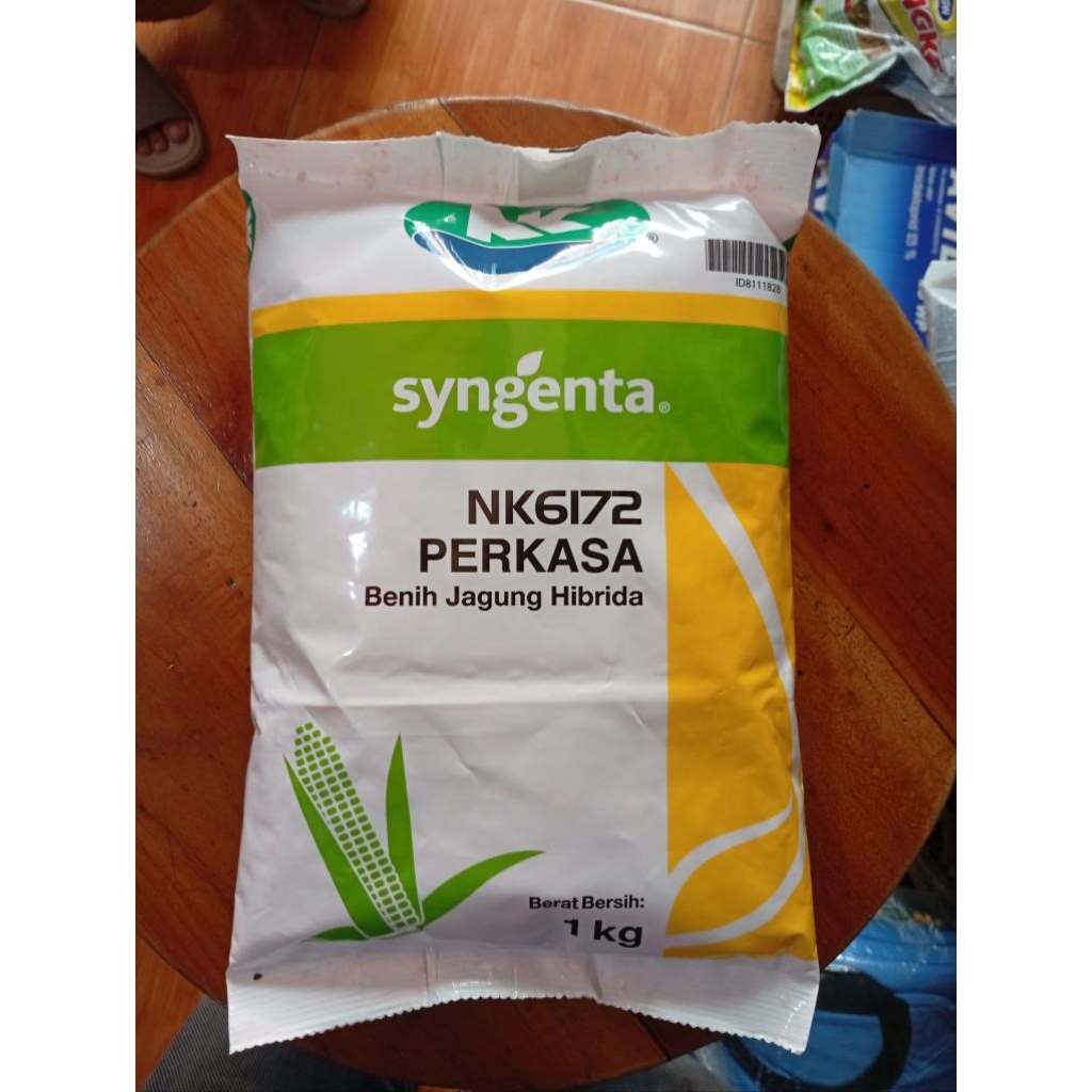 BENIH JAGUNG NK 6172 PERKASA-Hibrida Syngenta