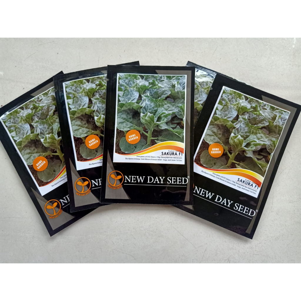 Benih / Bibit Kailan Hibrida Sakura F1 NDS