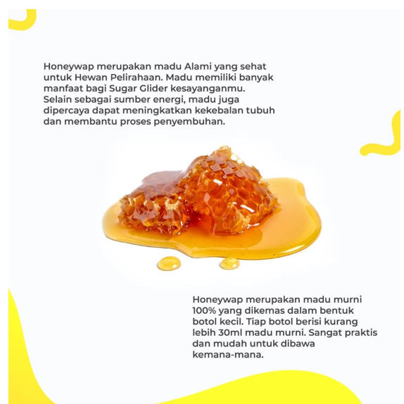 

Terlaris Honeywap Madu Murni Sugar Glider - 30ml