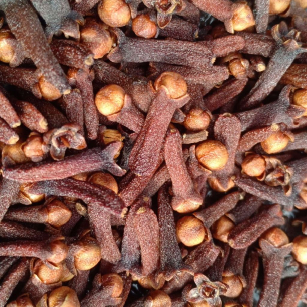 

CENGKEH KERING 25 GRAM KERING